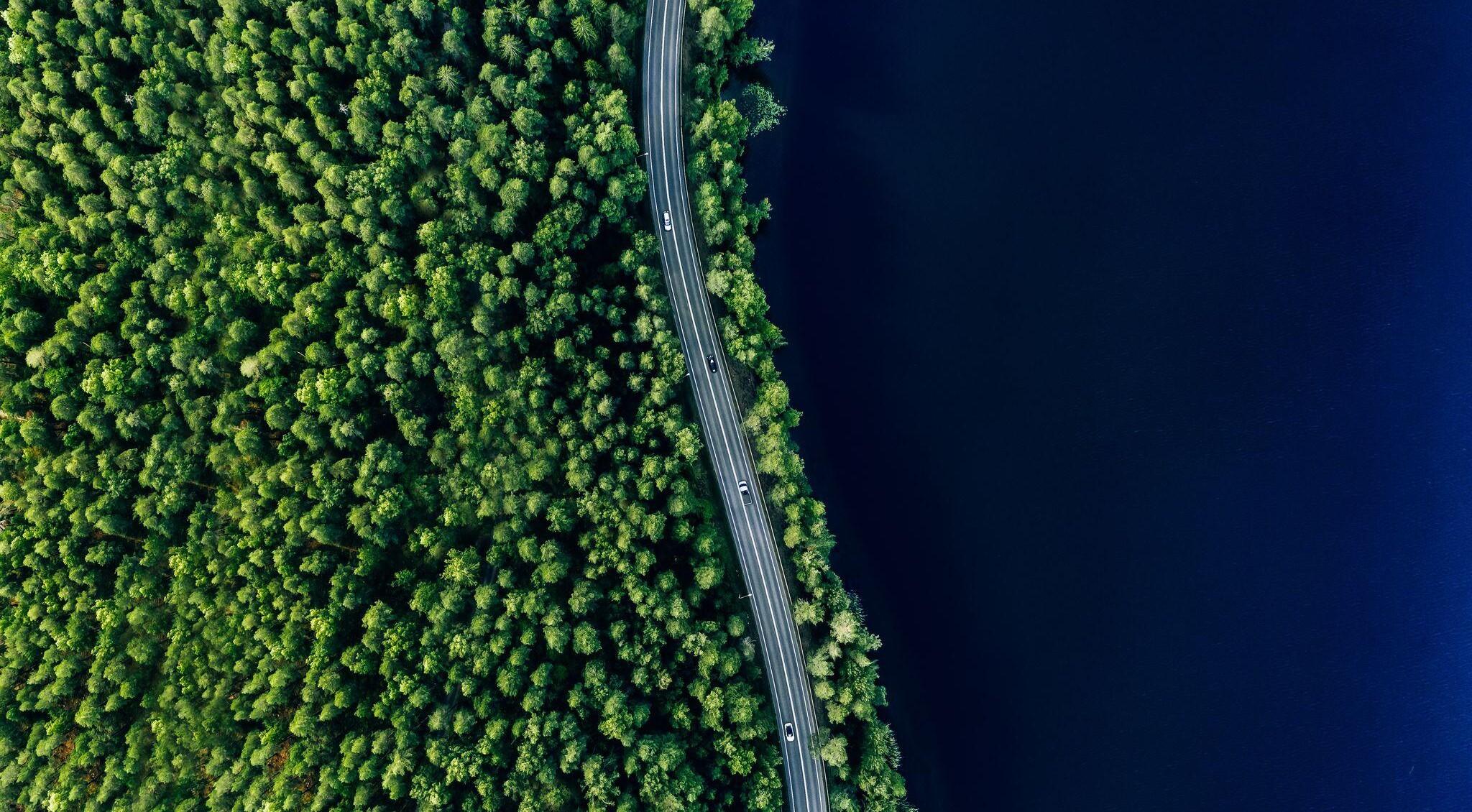 Vihreä havumetsä, jonka oikeassa reunassa on autotie ja tummansininen vesistö.