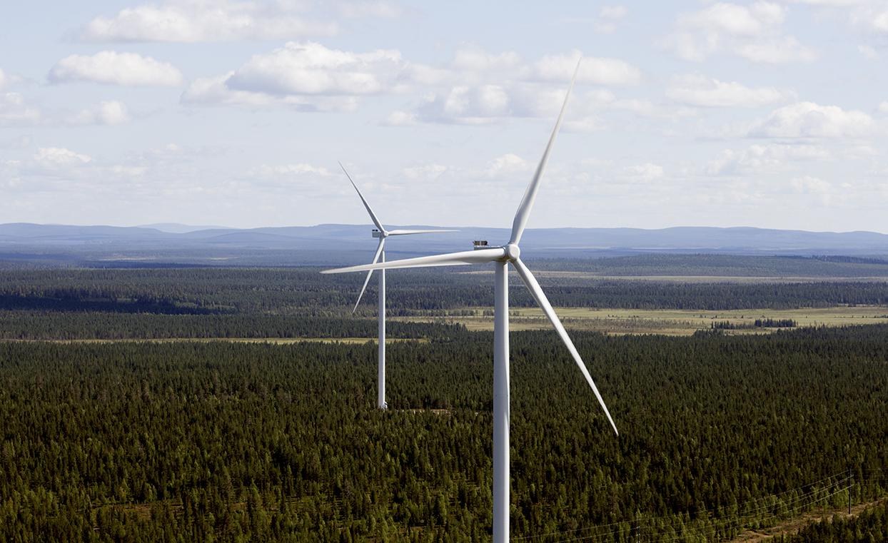Picture of wind turbines.